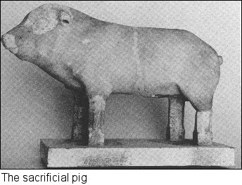 The sacrificial pig
